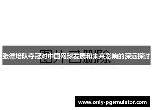 张德培队夺冠对中国网球发展和未来影响的深远探讨