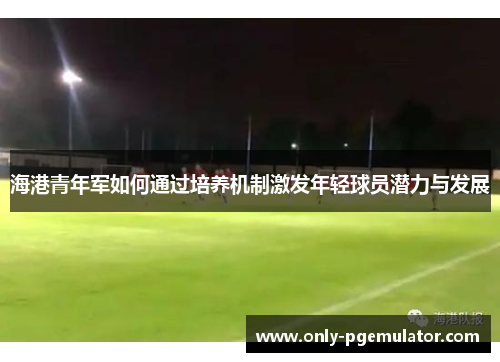 海港青年军如何通过培养机制激发年轻球员潜力与发展