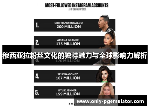 穆西亚拉粉丝文化的独特魅力与全球影响力解析